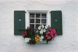 Fenster eines Bauernhauses in Abtenau