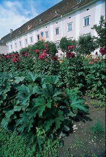 Kaiserhof von Stift Altenburg