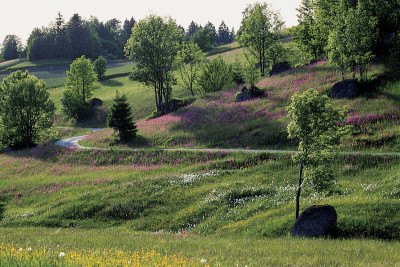 Dietrichsbach bei Altmelon, © IMAGNO/Franz Hubmann