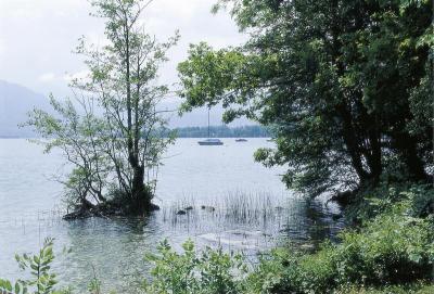 Garten der Villa Ransonnet in Nußorf am Attersee, © IMAGNO/Gerhard Trumler