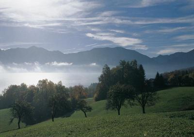 Blick auf den Attersee, © IMAGNO/Gerhard Trumler