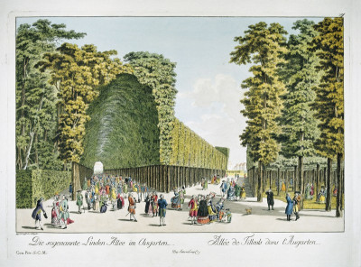 Linden Allee im Augarten, © IMAGNO/Austrian Archives