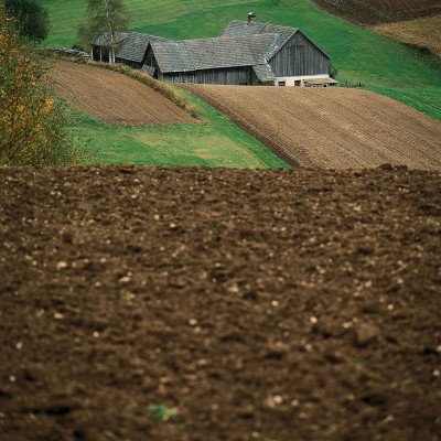 Einschichthof in Saggraben bei Bärnkopf, © IMAGNO/Gerhard Trumler