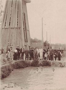 Badende im Freibadeteich der Schwefeltherme Schallerbach (2)