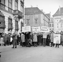 Demonstration gegen Taras Borodajkewycz (2)