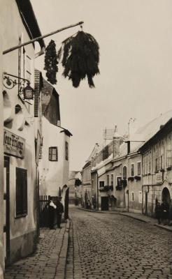 Weinhauerhäuser in der Kahlenberger Straße, © IMAGNO/Sammlung Hubmann