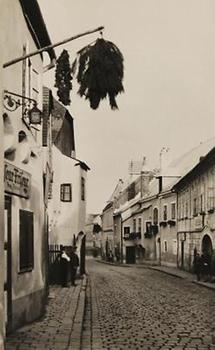 Weinhauerhäuser in der Kahlenberger Straße