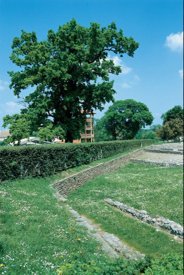 Rekonstruktion eines röm. Kräutergartens in Carnuntum, © IMAGNO/Gerhard Trumler