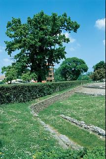 Rekonstruktion eines röm. Kräutergartens in Carnuntum