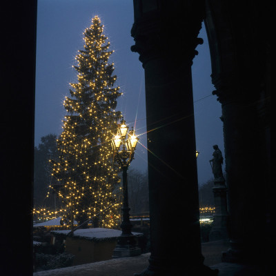 Christbaum, © IMAGNO/Gerhard Trumler