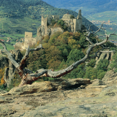 Burgruine Dürnstein in der Wachau, Niederösterreich, © IMAGNO/Gerhard Trumler