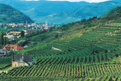 Dürnstein von den Oberloibener Weinbergen, © IMAGNO/Gerhard Trumler