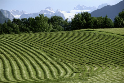 Blick auf den Dachstein, © IMAGNO/Alliance for Nature