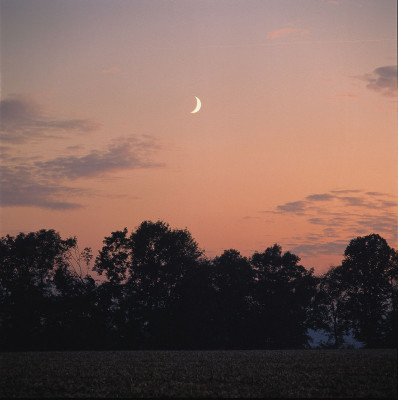 Sichelmond über Wald in Abenddämmerung, © IMAGNO/Gerhard Trumler