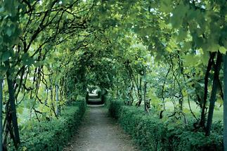 Garten des Redemptoristenklosters