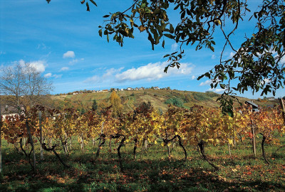 Eisenberg an der Pinka im Südburgenland, © IMAGNO/Gerhard Trumler