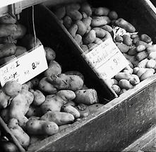 Kartoffeln im Feinkostladen