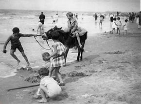 Kinder und ein Esel an einem Strand