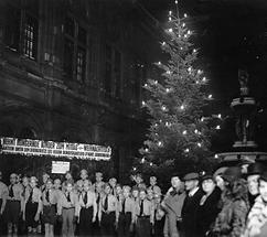 Weihnachtsbäume in den Strassen von Wien