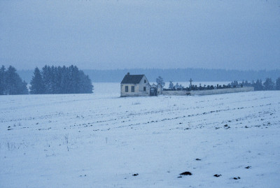 Friedhof in Süßenbrunn, © IMAGNO/Franz Hubmann