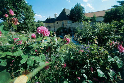 Rosengarten von Schloss Felling, © IMAGNO/Gerhard Trumler