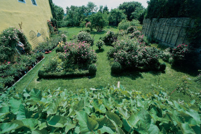 Buchskompartimente im Garten von Wiedendorf, © IMAGNO/Gerhard Trumler