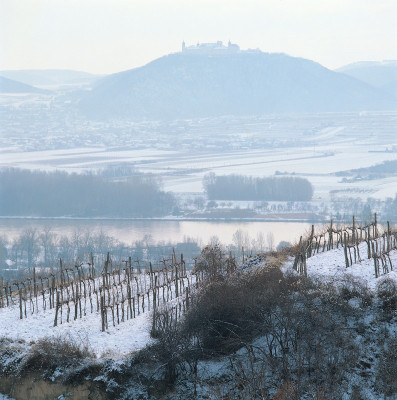 Weinberge im Winter, © IMAGNO/Gerhard Trumler