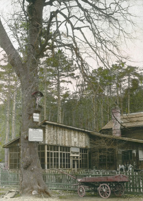 Zur Krausten Linde, © IMAGNO/Öst. Volkshochschularchiv