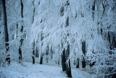 Winterlandschaft am Gallitzinberg in Wien, © IMAGNO/Gerhard Trumler
