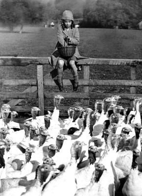 Putenfütterung, © IMAGNO/Austrian Archives (S)