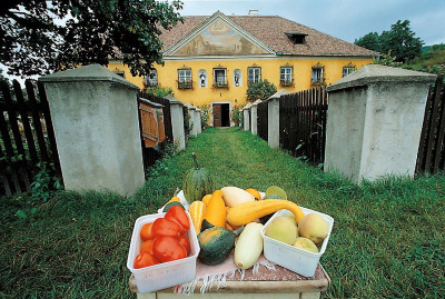 Weingut in Unterloiben, © IMAGNO/Gerhard Trumler