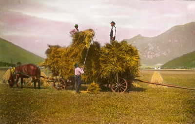 Beim Aufladen der Getreidegarben, © IMAGNO/Öst. Volkshochschularchiv