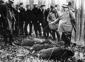 Hermann Göring bei der Jagd