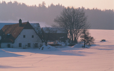 Bauernhof im Eisenbergeramt bei Gföhl, © IMAGNO/Franz Hubmann