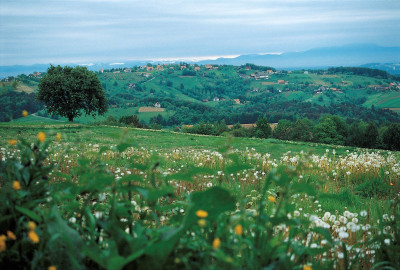 Blick von Kitzeck, © IMAGNO/Gerhard Trumler