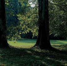 Landschaftspark von Schloss Grafenegg