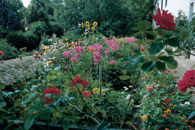 Blütenpracht im Garten von Schloss Guntersdorf, © IMAGNO/Gerhard Trumler