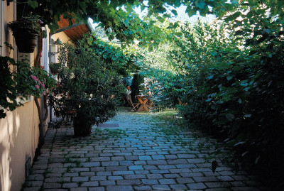 Heuriger in der Probusgasse in Wien, © IMAGNO/Gerhard Trumler