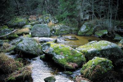 Die Steinerne Mühl bei Helfenberg, © IMAGNO/Gerhard Trumler