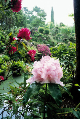 Der Garten von André Heller in Gardone, © IMAGNO/Franz Hubmann