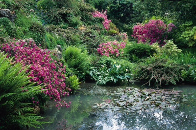 Teich  im Garten von André Heller, © IMAGNO/Franz Hubmann