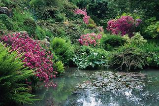 Teich  im Garten von André Heller