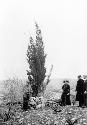 Von Theodor Herzl gepflanzter Baum, © IMAGNO/Austrian Archives