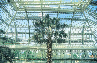 Das Palmenhaus im Park von Schloss Schönbrunn, © IMAGNO/Gerhard Trumler