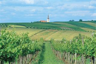 Weinviertler Hügelland (1)