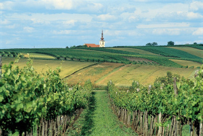 Weinviertler Hügelland, © IMAGNO/Gerhard Trumler