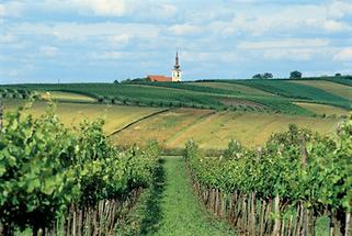 Weinviertler Hügelland (2)