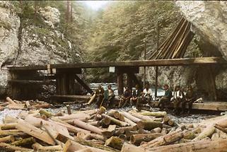 Holzknechte beim Driften von Schwemmholz