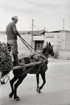 Der Rosselenker von Athen, © IMAGNO/Franz Hubmann