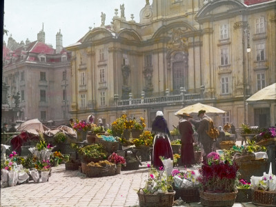 Blumenmarkt Am Hof, © IMAGNO/Öst. Volkshochschularchiv